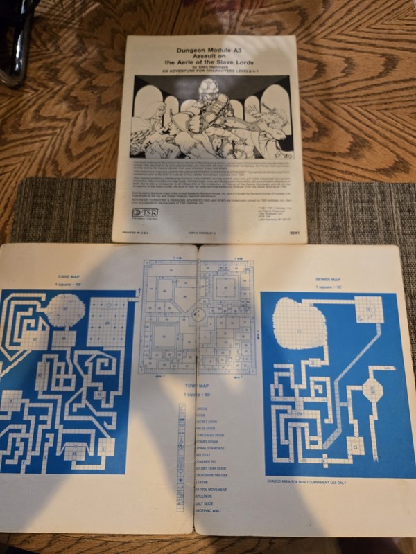 Advanced Dungeons & Dragons Module A3 Assault on the Aerie of the Slave Lords gallery