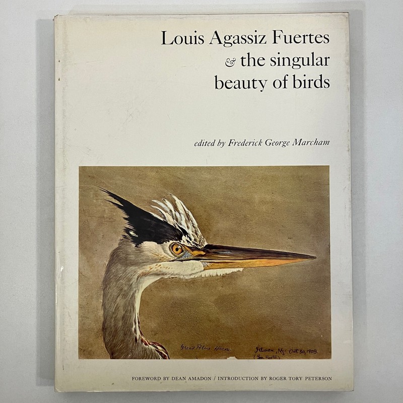 Louis Agassiz Fuertes & the Singular Beauty of Birds VTG 1st Edition 1971 HCDJ