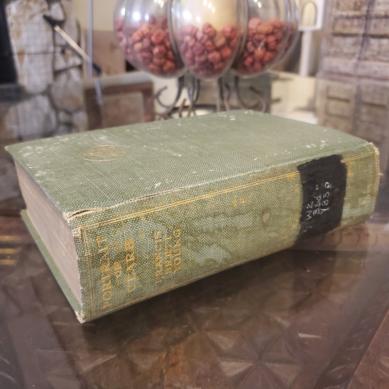 Portrait of Clare Francis Brett Young 1927 First Edition Vintage Antique Book