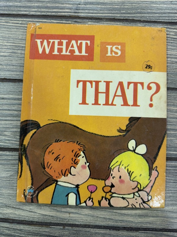 Vintage 1961 Wonder Book «What Is That?» by Denman Hampson Children’s Picture