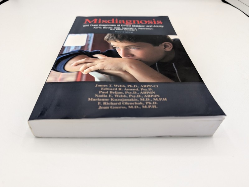 Edward R. Amend Mariann Misdiagnosis and Dual Diagnose (Paperback) gallery