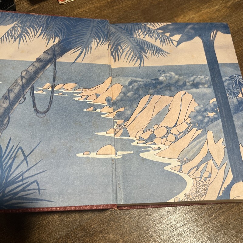 Johann David Wyss SWISS FAMILY ROBINSON Illustrated T. H. Robinson Hardcover gallery