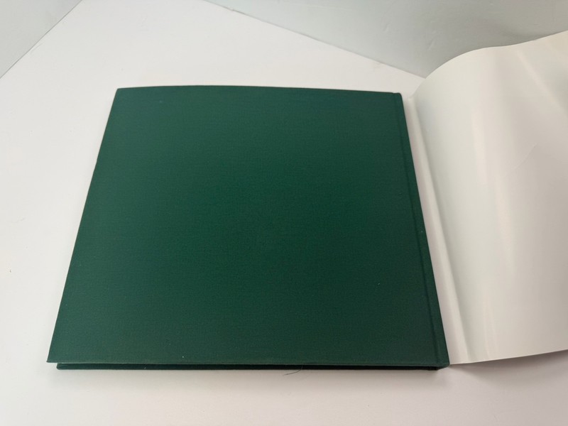 Hans Meyer Kassel Artist of Nevada Hardcover 2018 Museum Of Art gallery