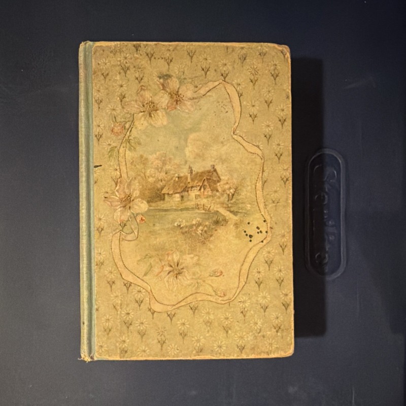 Thomas Y. Crowell & Co. Illustrated Original Hardcover Robert Burns Poetry 1900