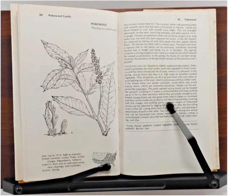 Wild Food Trailguide 1973 HC Alan Hall 2nd Ed Hunting Forage Foraging Guide-used gallery