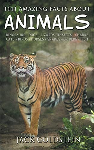 1111 Amazing Facts about Anima – GOOD