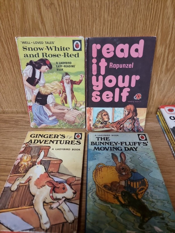 20 Vintage Ladybird Books Various Series Job Lot (BT) gallery