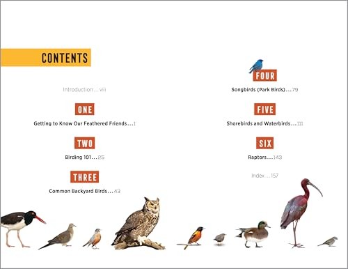 Field Guide to 150 North American Birds Essential Birdwatching Guide gallery