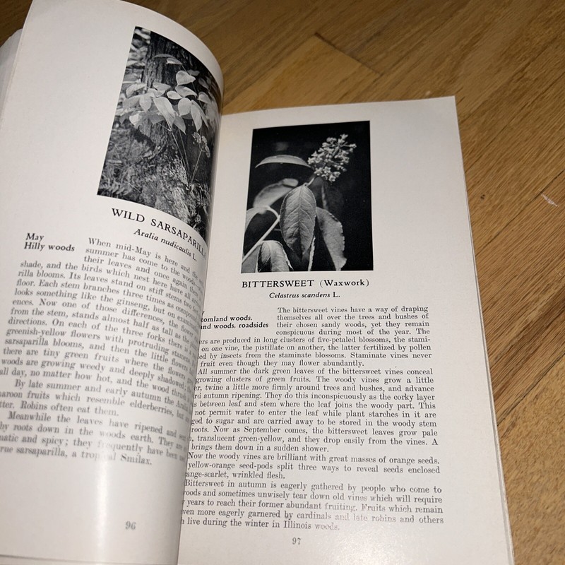 1960 ILLINOIS WILD FLOWERS by John Voss. 256 pages of Photos & Information gallery