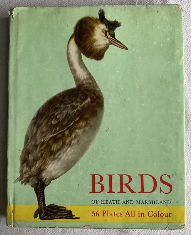Collectable Vintage Spring Books “Birds Of Heath & Marshland” HB Book & DJ, 1962