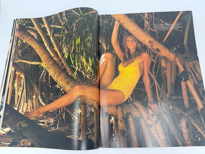 VTG Cheryl Tiegs Sports Illustrated Swimsuit Issue Foldout Poster 1983 1980s gallery