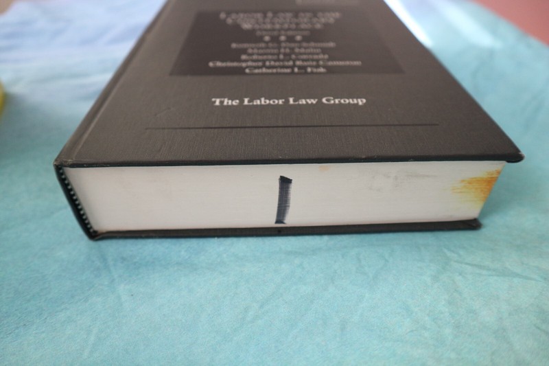 Labor Law in the Contemporary Workplace (American Casebook Series) gallery