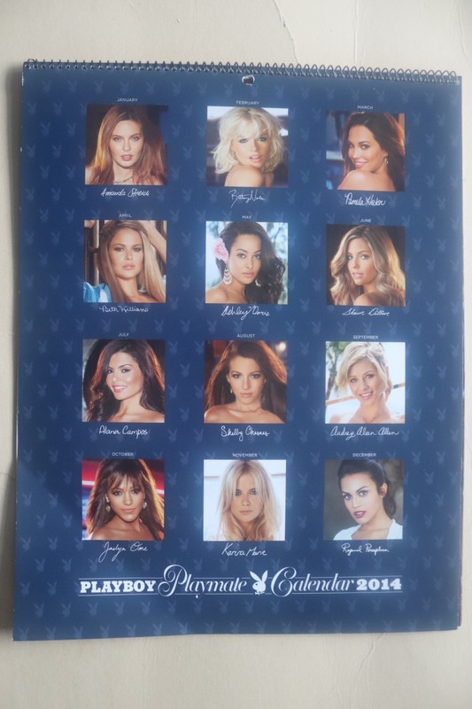 Playboy Playmate Calendar 2014 2015 2016 & 2017 (4) Lot gallery