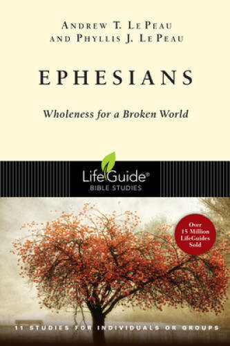 Ephesians: Wholeness for a Broken World (Lifeguide Bible Studies) – GOOD