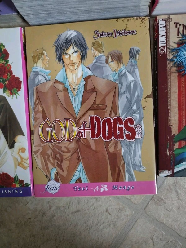 Huge English Manga Lot of 8 No Duplicates Fantasy Adventure Comedy Romance VGC gallery