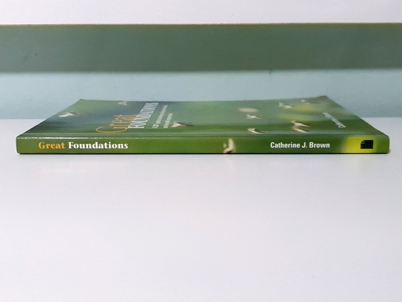 Great Foundations: A Guide to Building Not-for-Profit Organisations! PB Book gallery