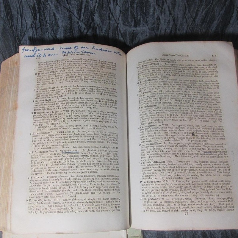 Book of Botany by Alphonso Wood, 1867, Hardcover, 832 Pages gallery