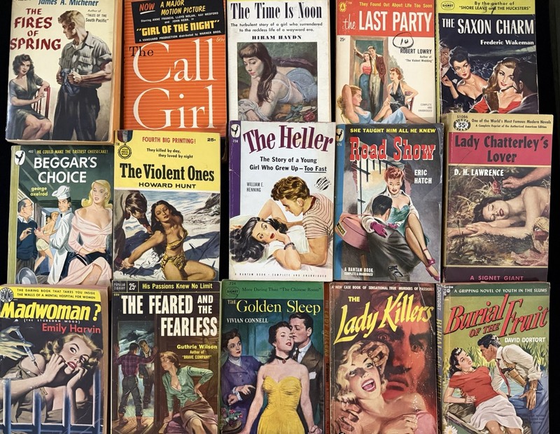 Vintage Pulp Paperback Book Lot Signet Bantam Avon Gold Medal GGA Noir