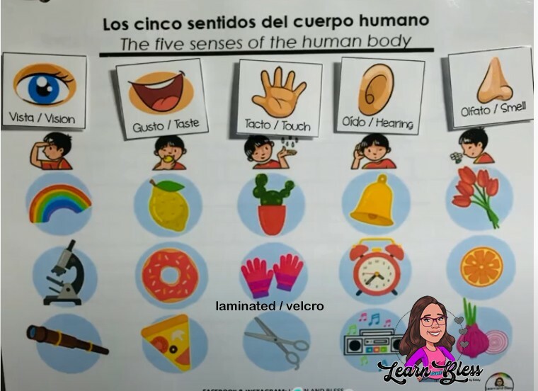 Learning Binder Kids 1 to 6 years / Carpeta de Aprendizaje niños 1 a 6 años gallery