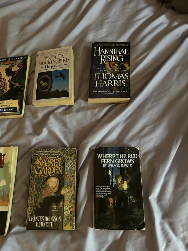 American Fiction Lot of Classics 10 books: Harper Lee, John Steinbeck, and more gallery