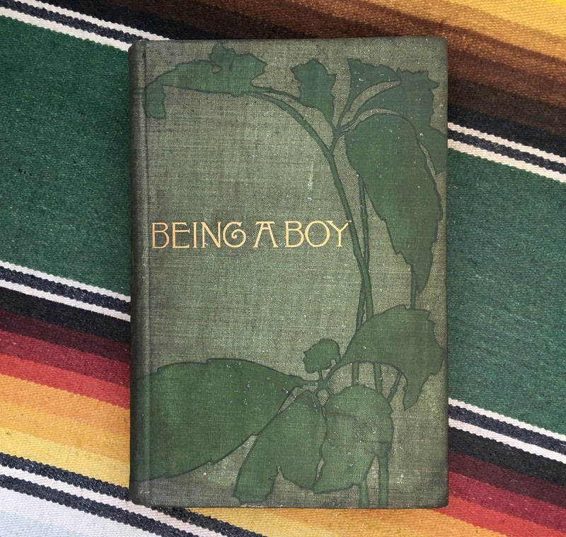 Signed Being a Boy Charles Dudley Warner Sarah Whitman Art Nouveau Binding 1897