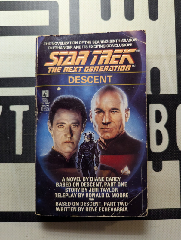 Star Trek Descent by Diane L. Carey 1993 Paperback Vintage! The Next Generation