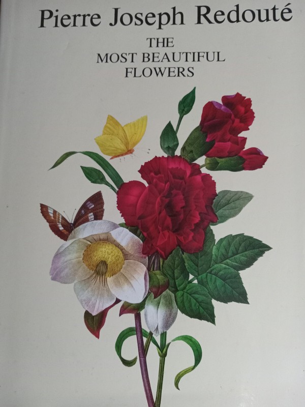 PIERRE JOSEPH REDOUTE THE MOST BEAUTIFUL FLOWERS
