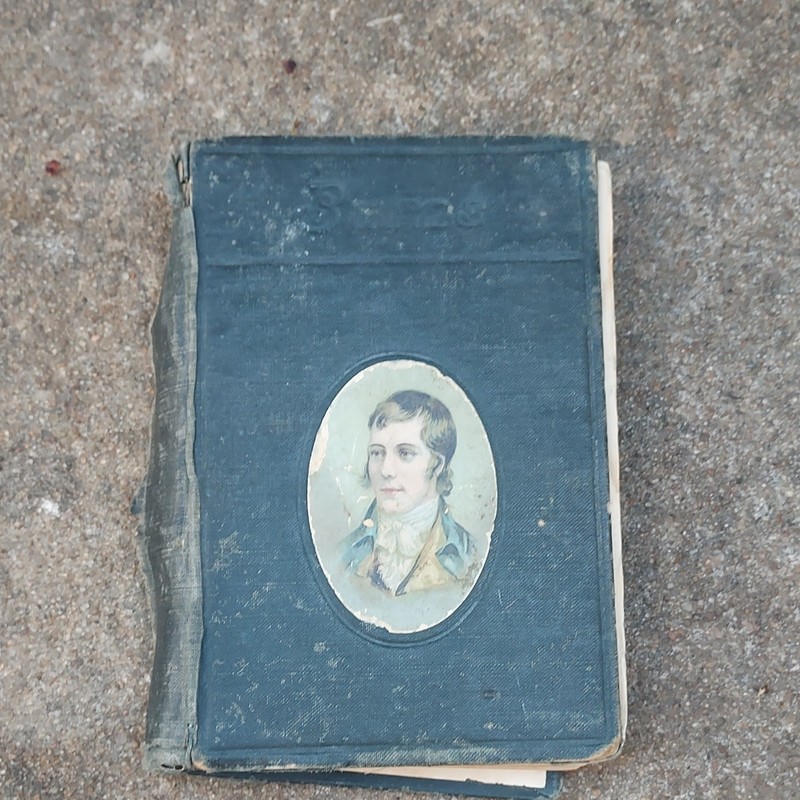 Burns Illustrated Poems Cloth Cover Literature & Fiction Poetry Original English