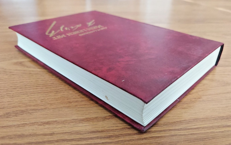 German Edition Mein Leben Mit Franz Liszt Aus dem Tagebuch eines Liszt-Schulers gallery
