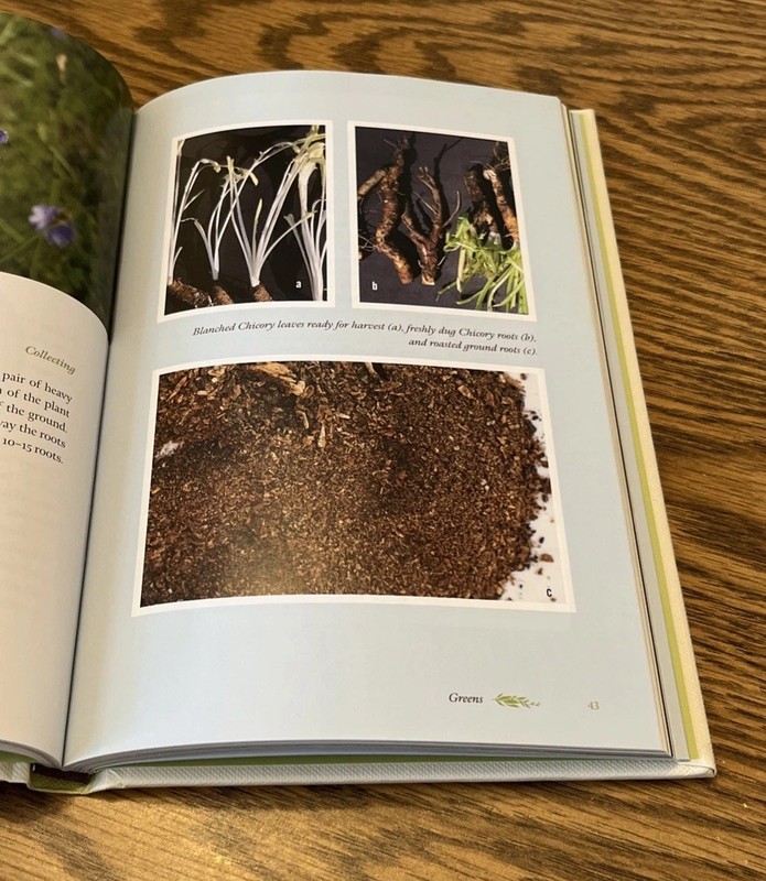 THE QUICK GUIDE TO WILD EDIBLE PLANTS: EASY TO PICK, EASY By Lytton John gallery