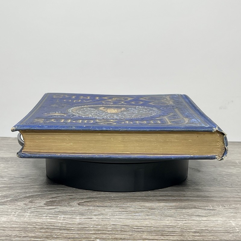 Antique 1879 Aunt Sophy Boys Girls D.P. Sanford - Victorian Gold Gilded Book gallery