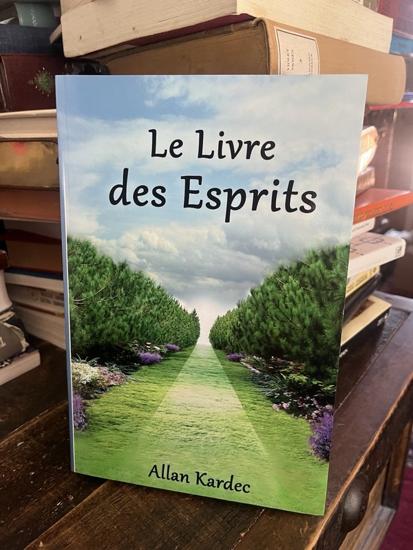 NEW Le Livre des Esprits Spiritism Allan Kardec French Version Book