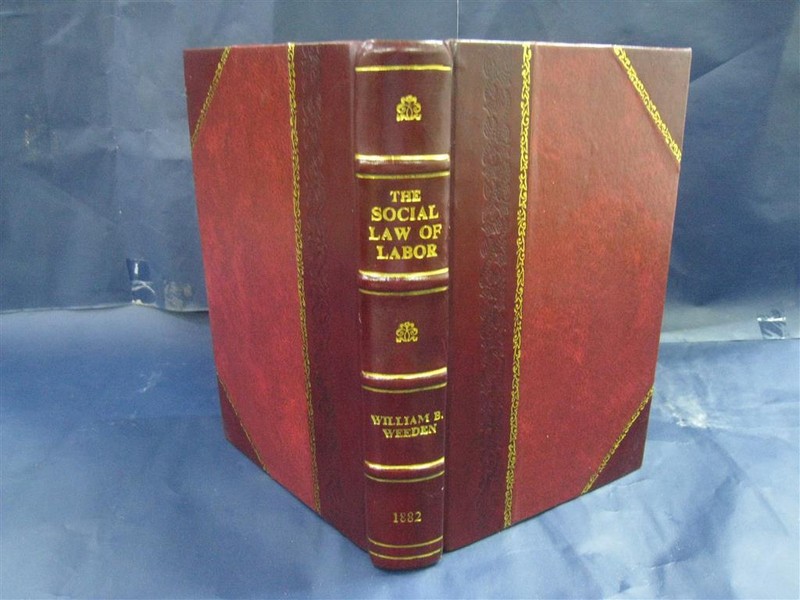 The Social Law Of Labor 1882 By William B. Weeden [Leather Bound]