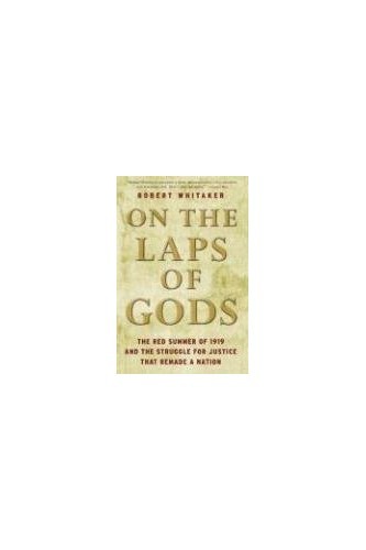 On the Laps of Gods: The Red Summer of 1919 and the Struggle for Justice – GOOD