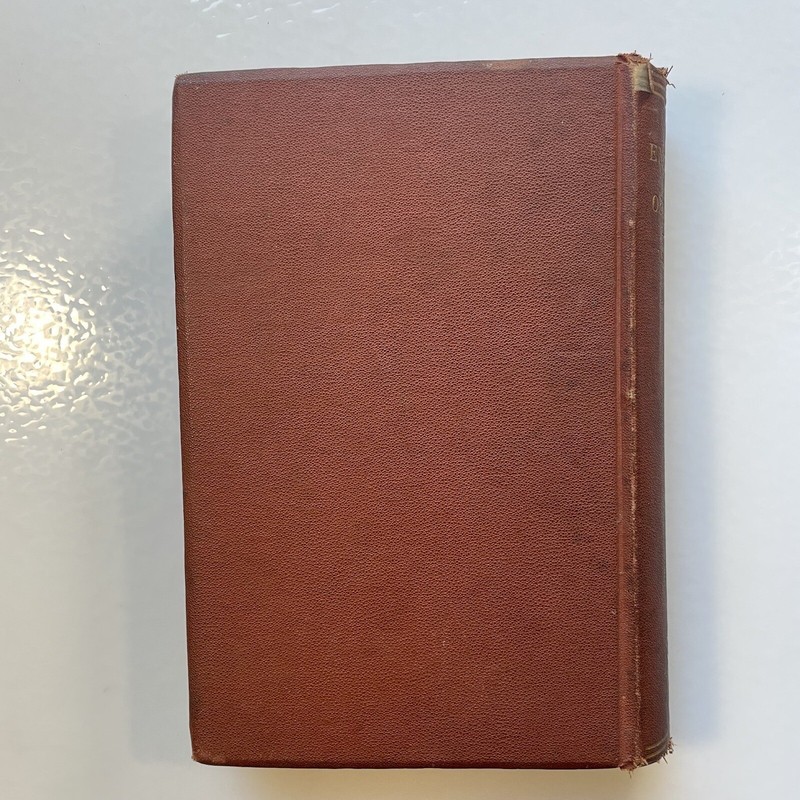 Enigmas of Life by W. R. Greg, 1880, Antique Hardcover, Henry Holt and Company. gallery