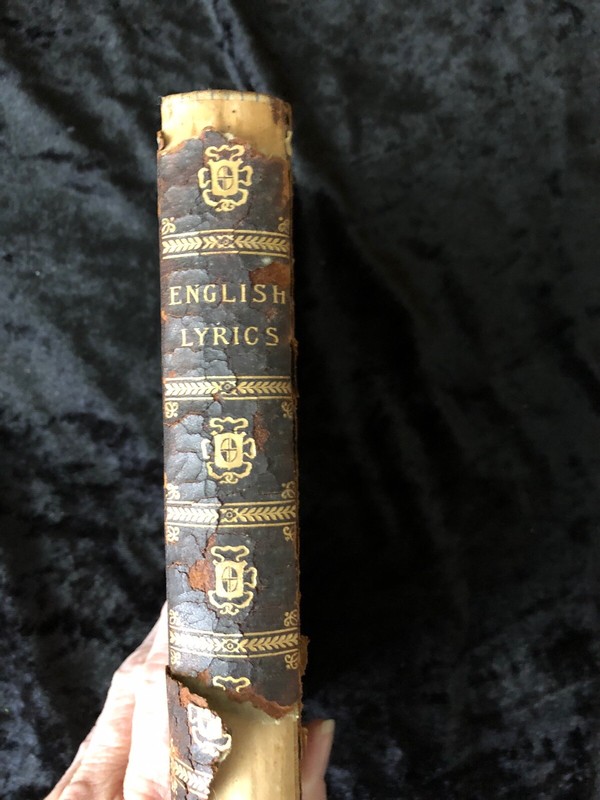 English Lyrics Antique Hardcover 1896 English Classics by D. Appleton & Company gallery