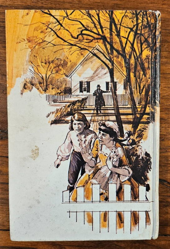 Meg: Mystery in Williamsburg by Holly Beth Walker (1972, Hardcover) gallery