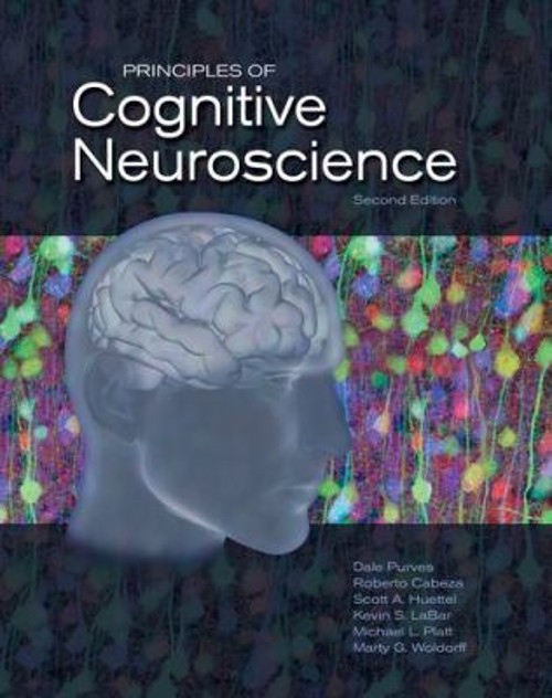 Principles of Cognitive Neuroscience Hardcover