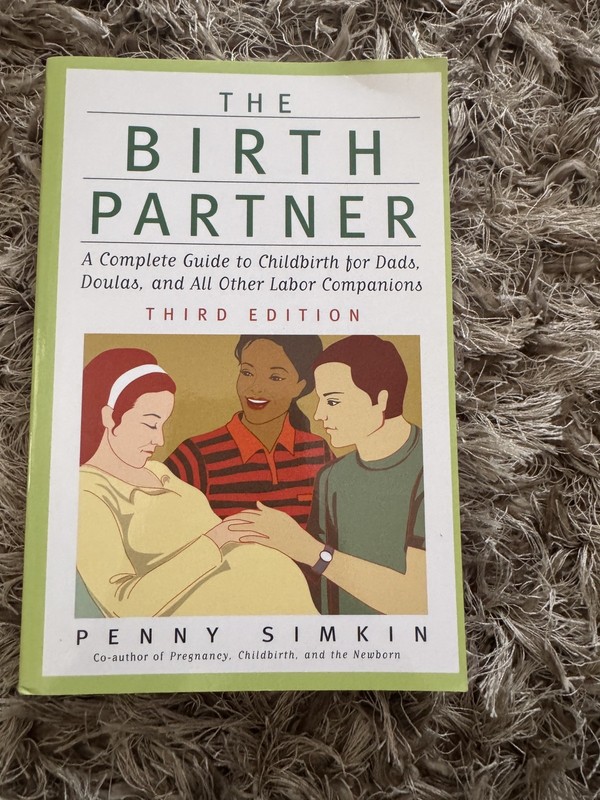 The Birth Partner Penny Simkin – Childbirth Guide for Partners – Brand New