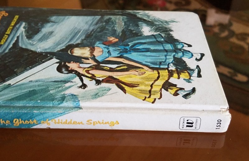Meg ~ The Ghost Of Hidden Springs Vintage HC Book Whitman 1970 Holly Beth Walker gallery