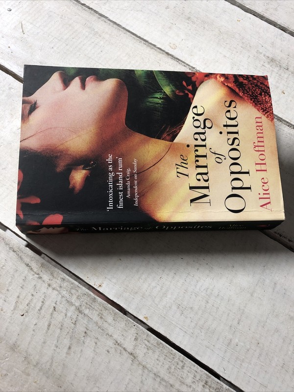 Marriage of Opposites Alice Hoffman Paperback Historical Fiction gallery