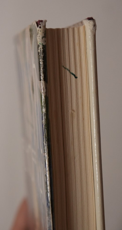 At Risk by Alice Hoffmann (1988, Hardcover, GOOD) 1st Print gallery