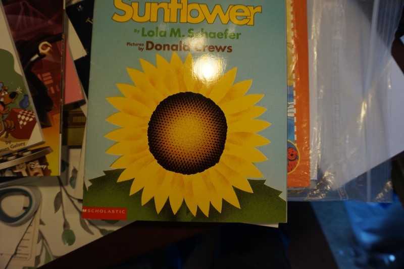 Lola M Schaefer, Donald Crews / This is the Sunflower —BRAND NEW PAPERBACK