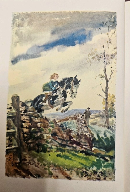 National Velvet By Enid Bagnold 1963 HC Vintage William Morrow & Company gallery