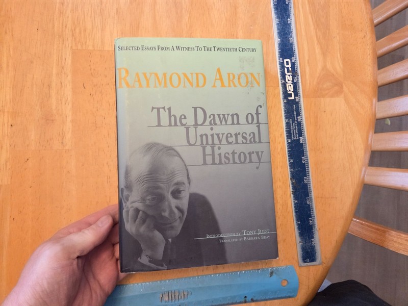 Dawn of Universal History : Selected Essays by Raymond Aron (2002, Hardcover)