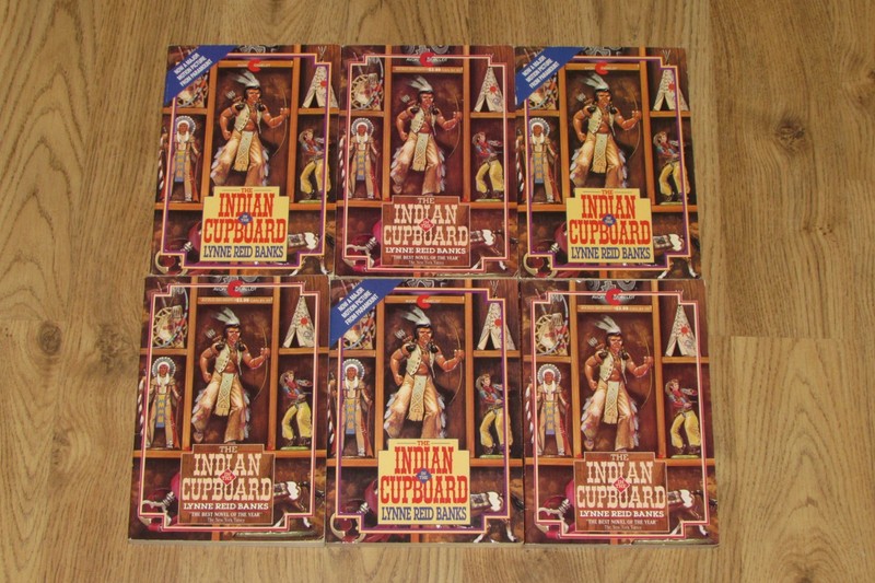6 THE INDIAN IN THE CUPBOARD Lynne Reid Banks GUIDED READING Book Lot