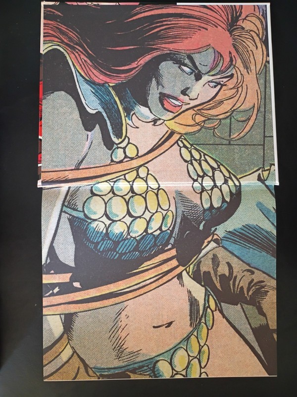 BIG JOHN BUSCEMA Comics & Drawings Hardcover IDW Publishing 2012 1st Print gallery