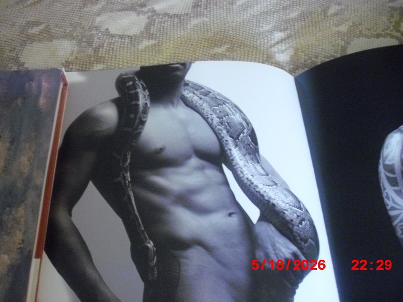 Dare Medina, Guillem, VERY MACHO, Scarce Title, (Bruno Gmunder) FREE SHIPPING! gallery