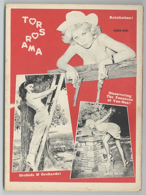 Stare 1960 Laura Vickers, Karen Kerr 100pgs Timely Features Marvel Bill Ward GGA gallery