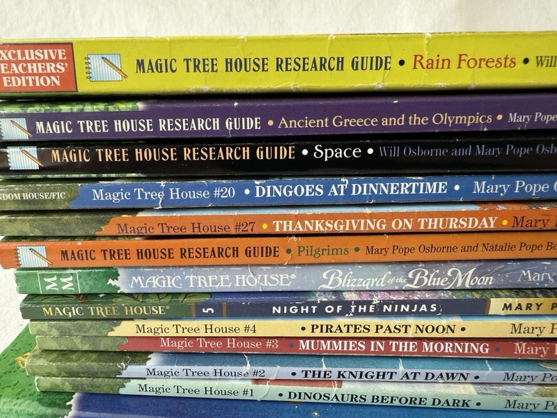 Magic Tree House Chapter Books By Mary Pope Osborne Lot Of 15 books gallery